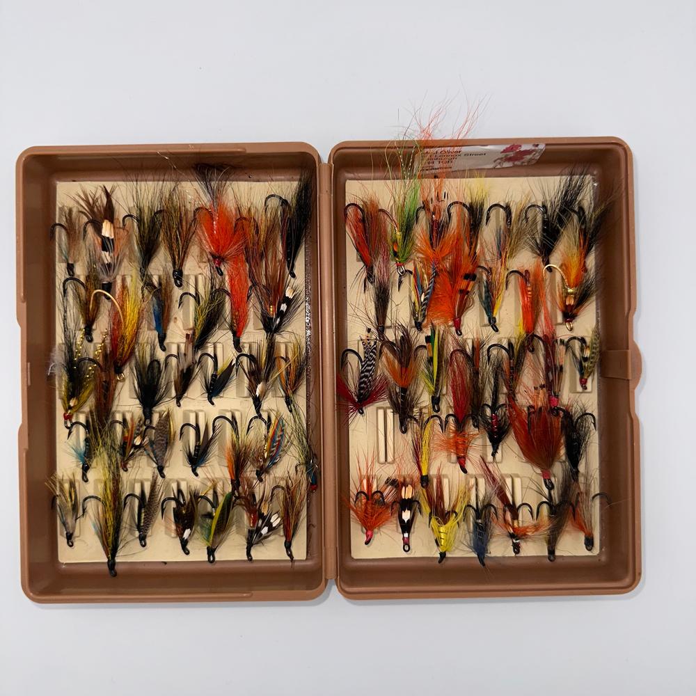 65 Salmon Flies in Fly Box-Gamefish