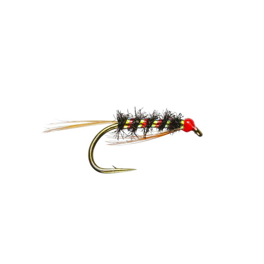Traffic Lite Diawl Bach