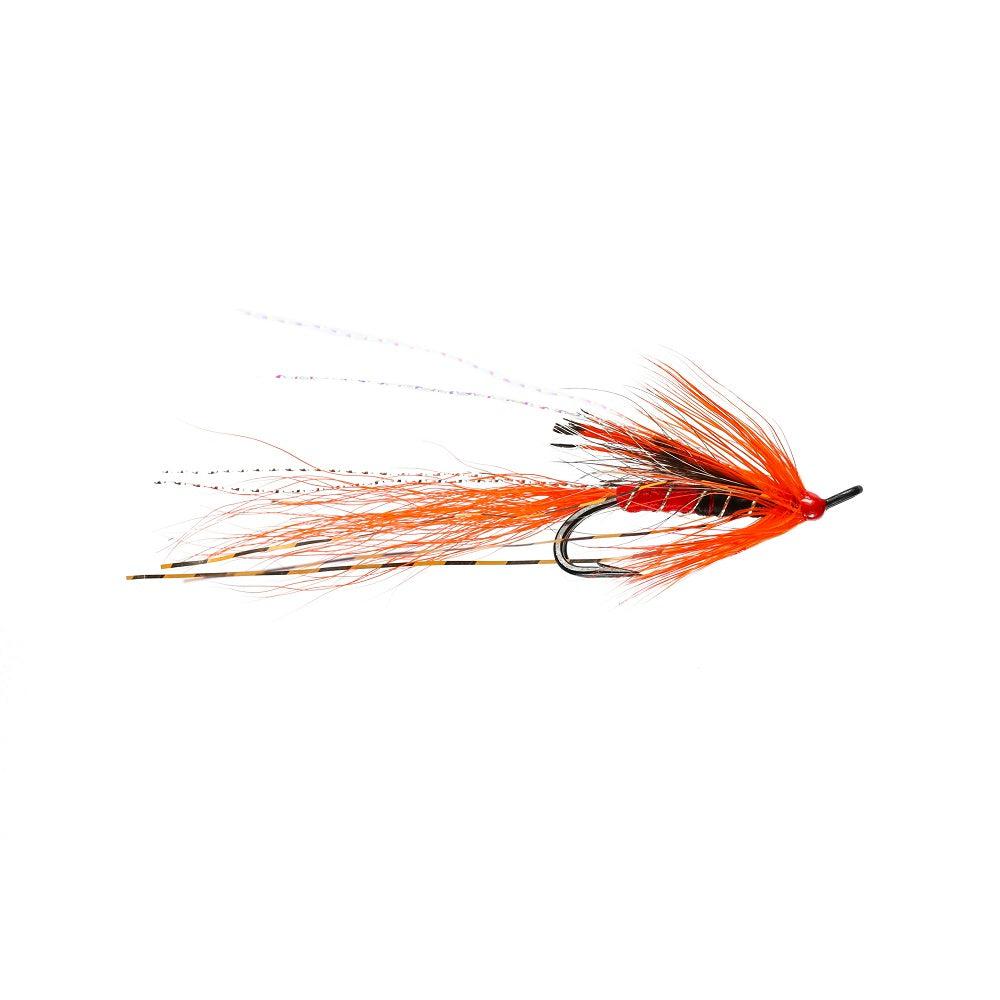 Ally’s Shrimp Double-Gamefish