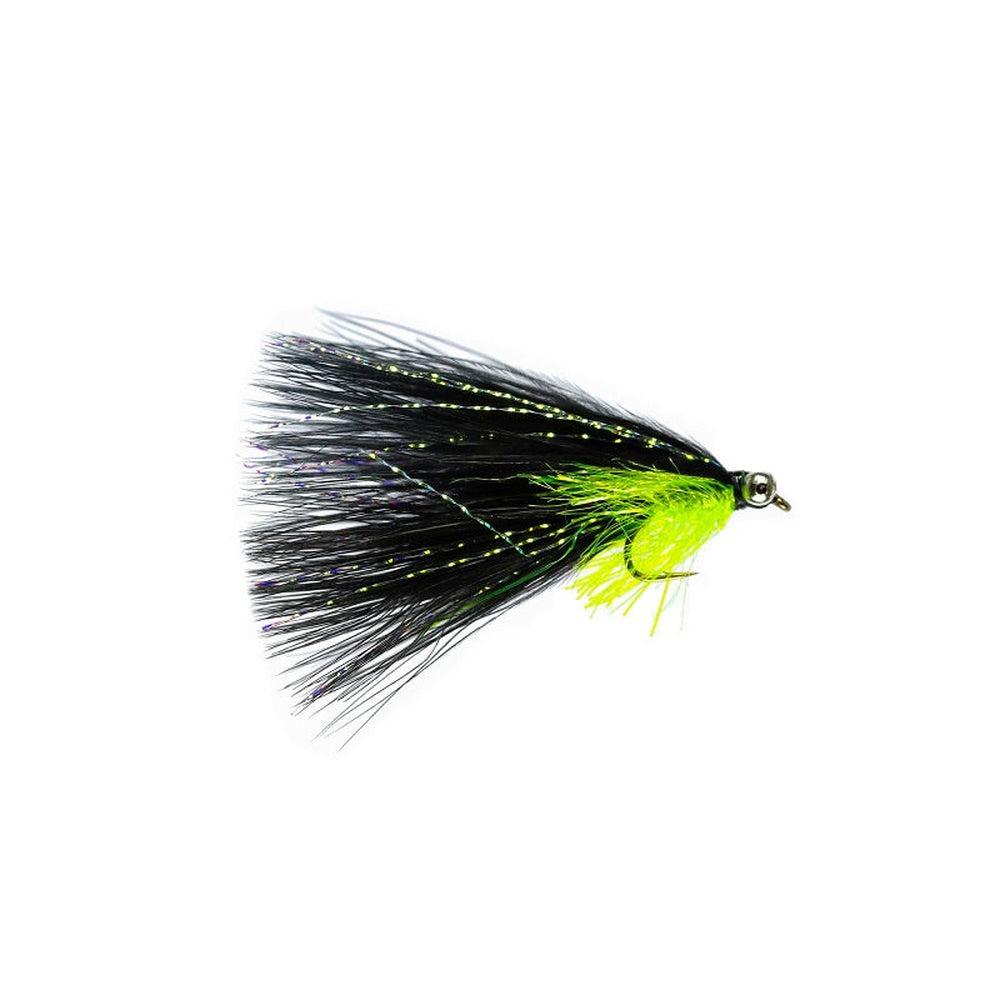 Black Cats Whisker-Gamefish