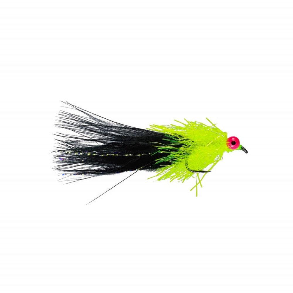 Black Shaggy Cat-Gamefish