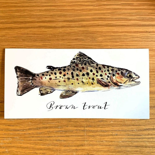 Brown Trout - Greeting Card-Gamefish