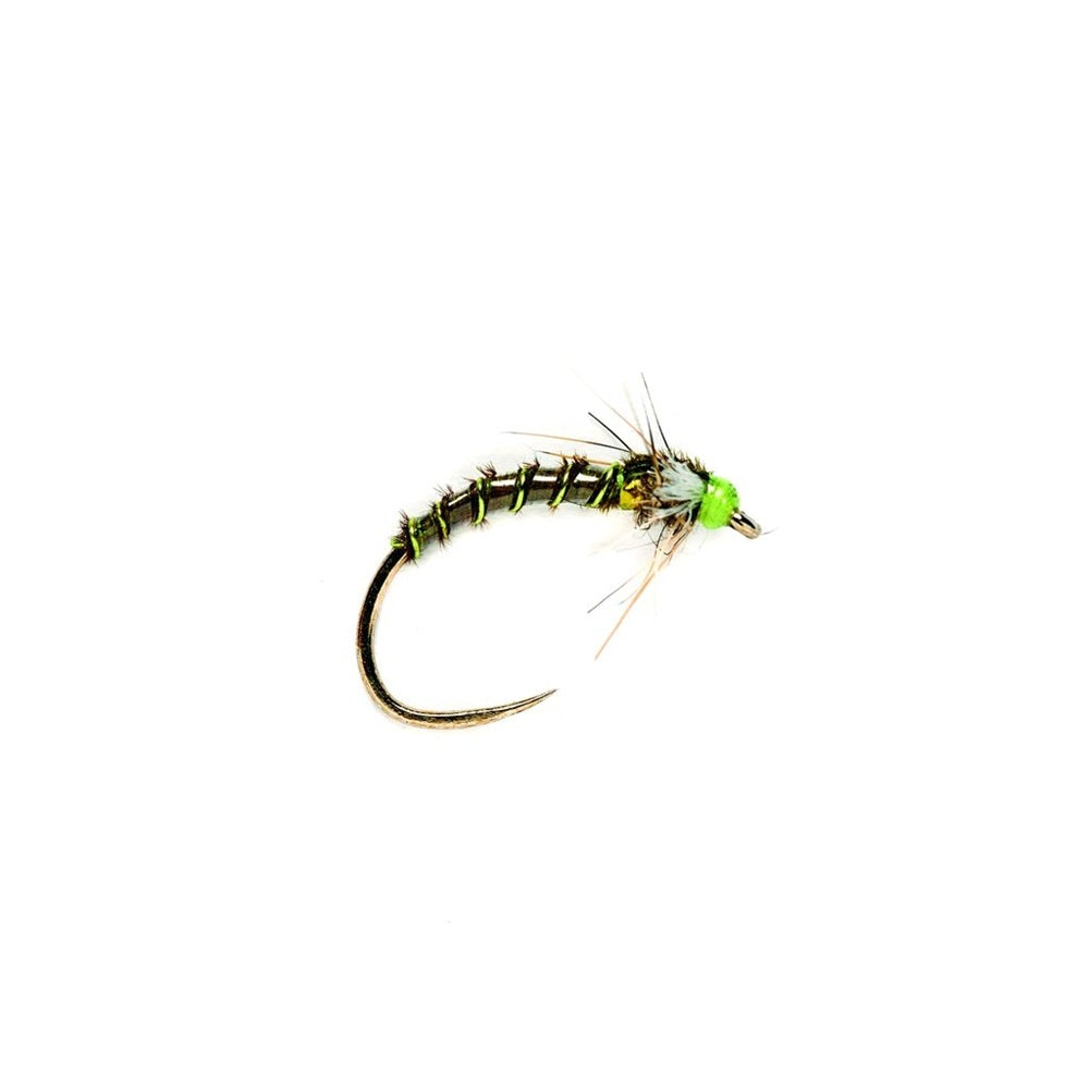 Buzzer Slow Sink Olive B/L