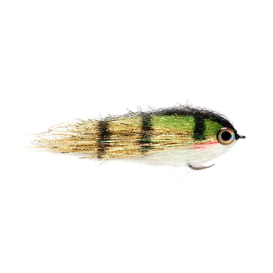 Clydesdale Gold Perch-Gamefish