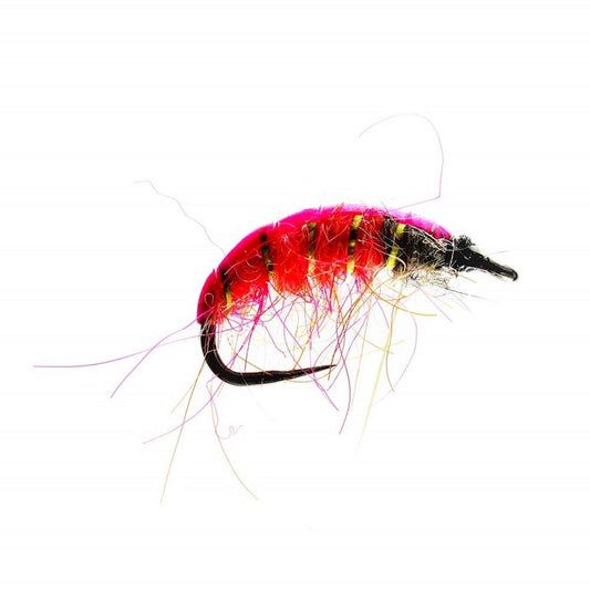 Czech Pink T/B Barbless Nymph-Gamefish