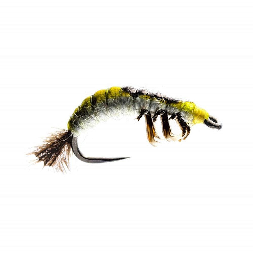 Hydropsyche Larva Czech Nymph-Gamefish
