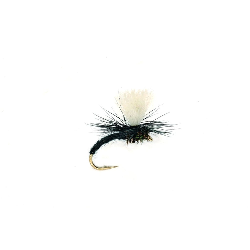 Klink Black-Gamefish