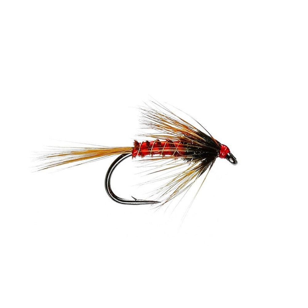 Nemo Cruncher-Gamefish