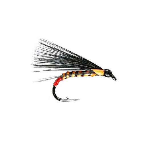 Orange Quill Cormorant-Gamefish