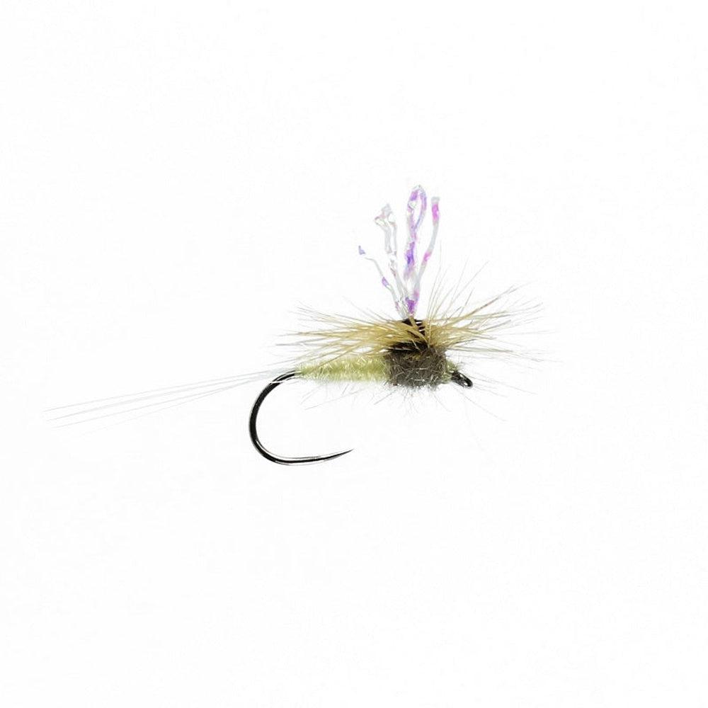 Paramidge Curse Dry B/L-Gamefish