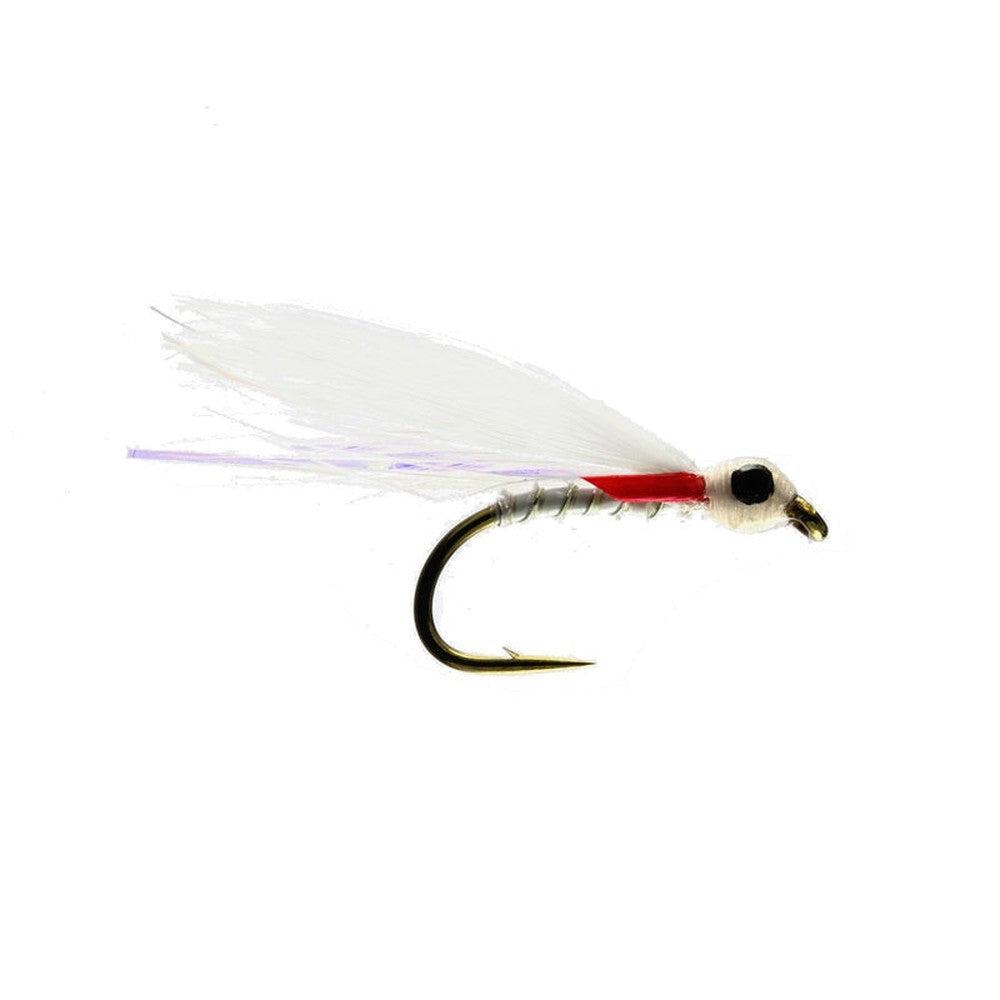 Pin Head Fry-Gamefish