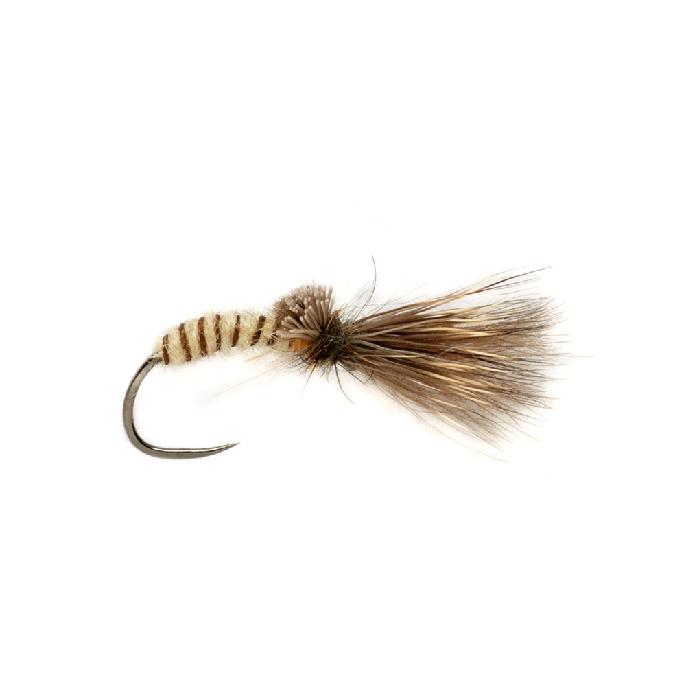 Procter's Caddis Emerger Cream
