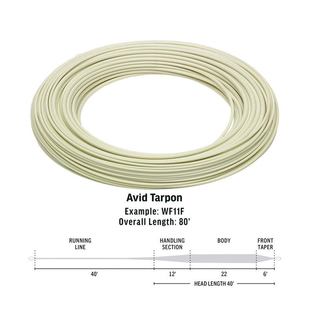 RIO Avid Tarpon Fly Line-Gamefish