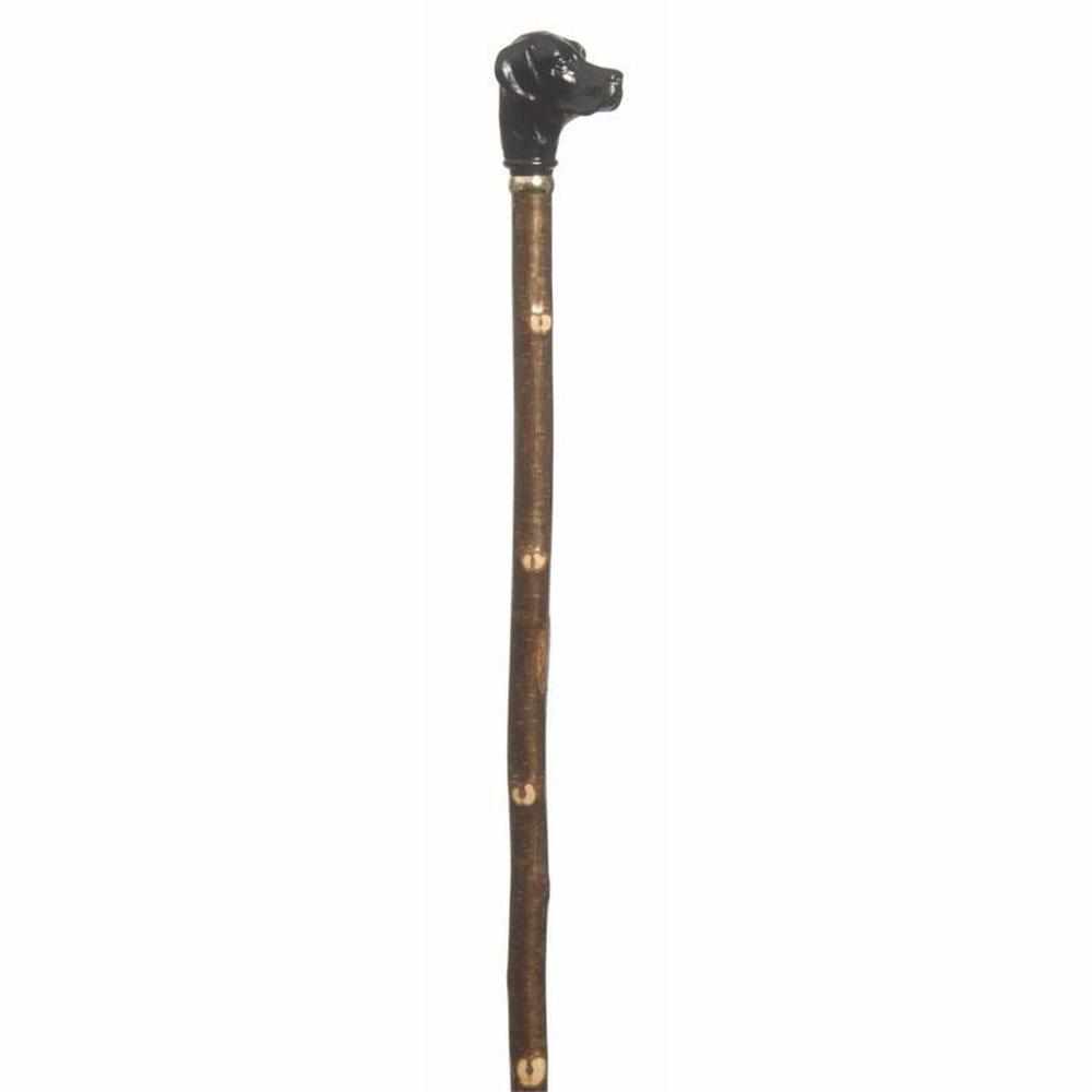 Labrador Hazel Stick - Gamefishltd