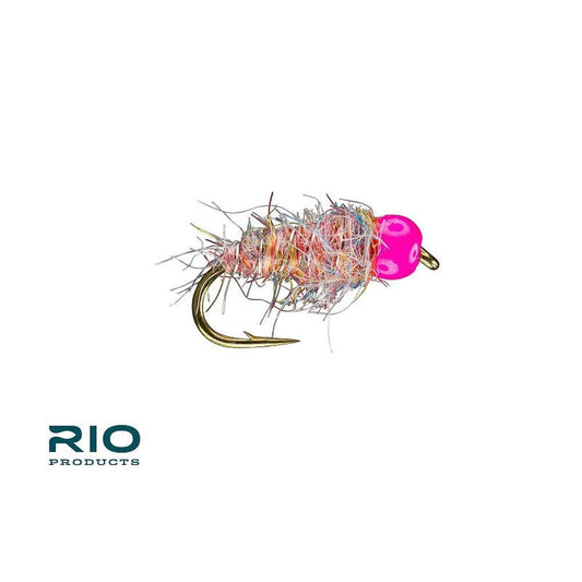 RIO's Weight For It Rainbow-Gamefish