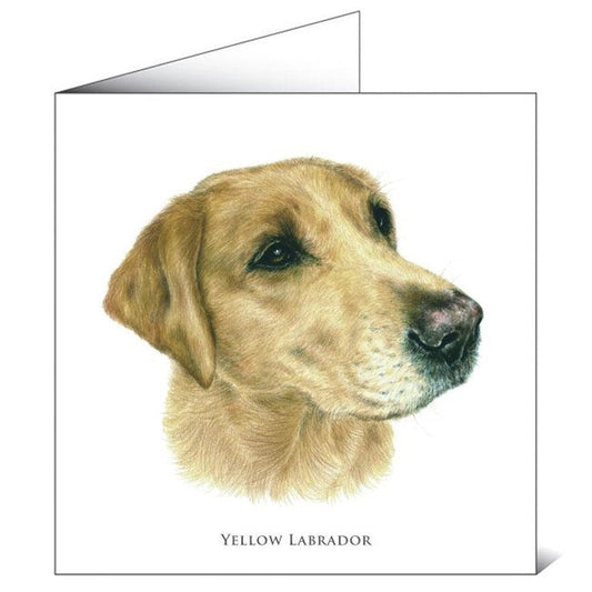 Yellow Labrador - Greeting card-Gamefish