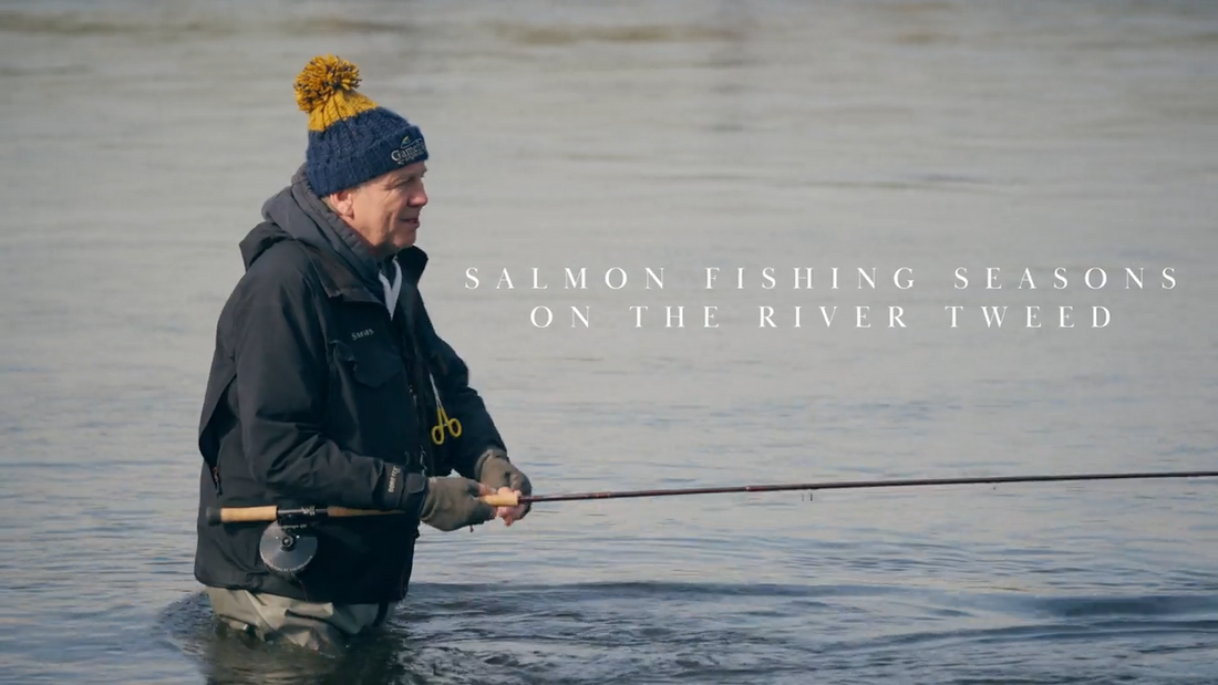 Out and About on the Tweed