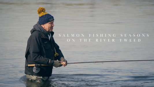 Out and About on the Tweed