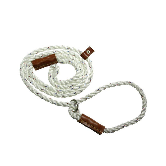 Bisley Field Trial Slip Lead-Gamefish
