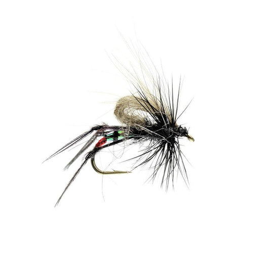 Black Hopper CDC-Gamefish