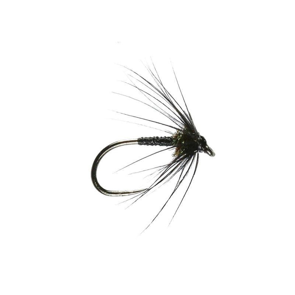 Black Spider-Gamefish