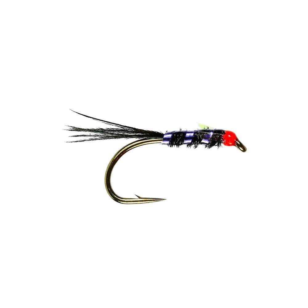 Caledonia Wmd Diawl Bach-Gamefish