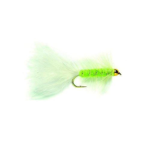 Cat's Whisker Gold-Gamefish