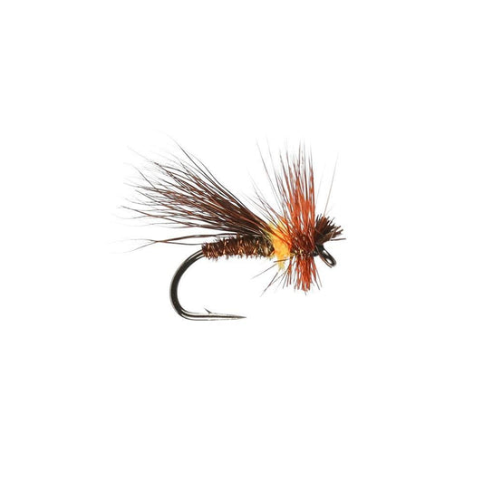Chocolate Drop Sedge-Gamefish