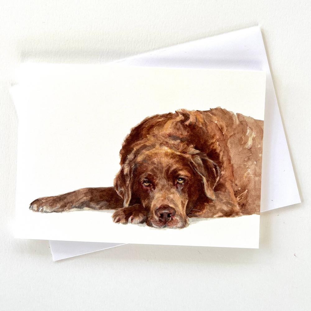 Chocolate Labrador - Greeting Card-Gamefish