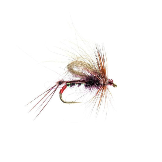 Claret Hopper CDC-Gamefish