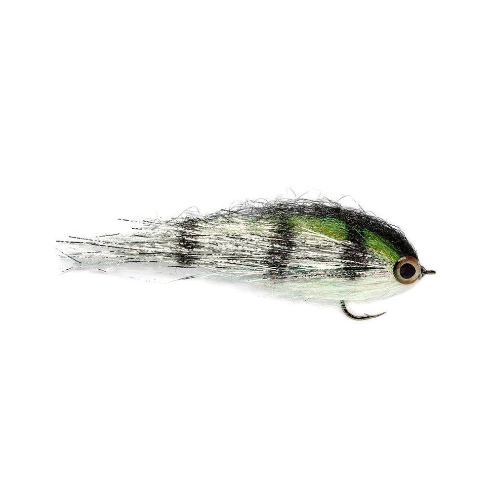 Clydesdale Silver Perch-Gamefish