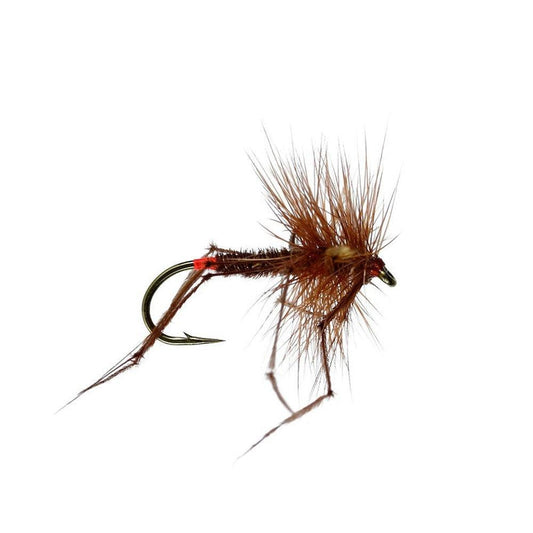 Daddy Longlegs Dry Fly-Gamefish