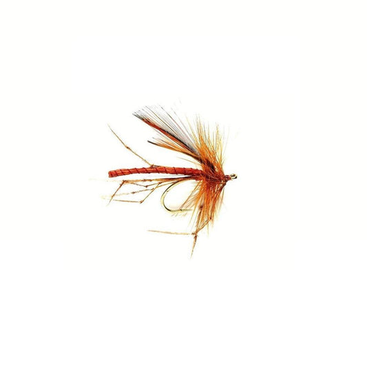 Dad's Daddy Natural-Gamefish