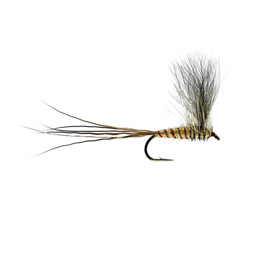 Detached Cfc Mayfly Dun-Gamefish