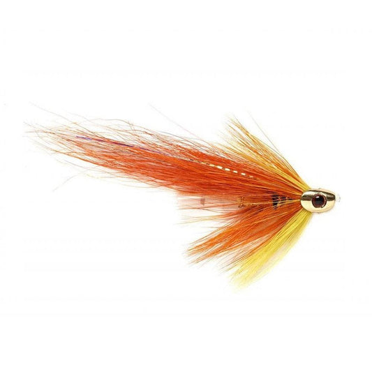 FLAMING GOLDEN SKULLHEAD-Gamefish