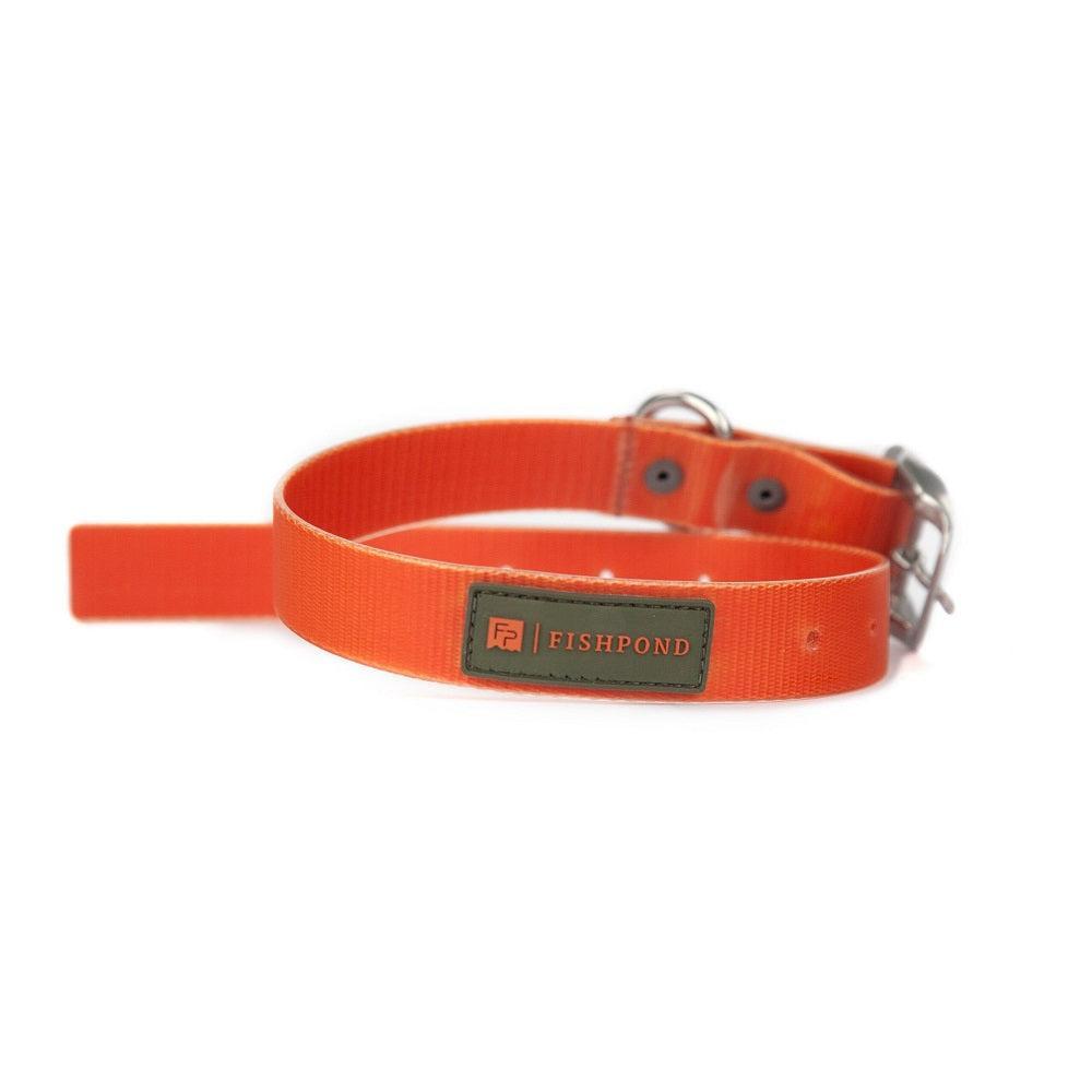 Fishpond Dog Collar-Gamefish