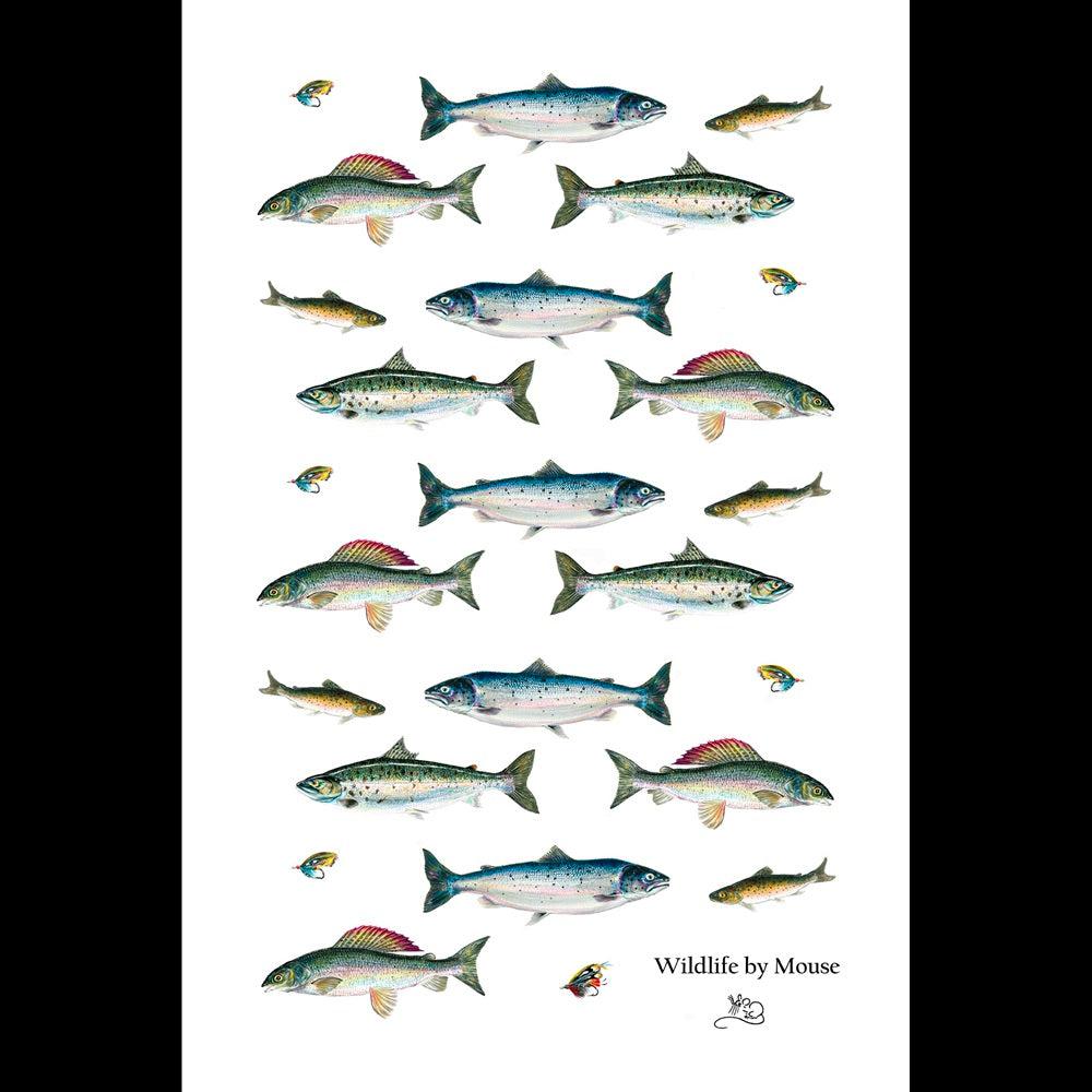 Game Fish Card-Gamefish