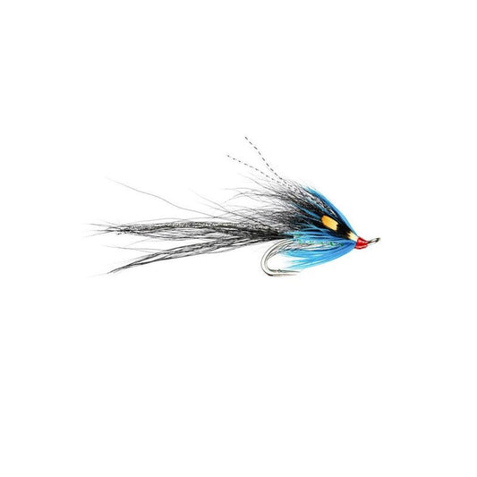 Gledswood Blue JC P Double-Gamefish