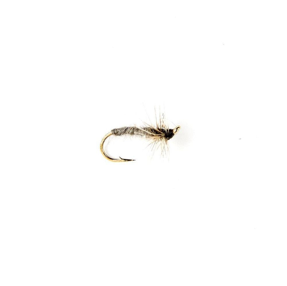 Grey Duster-Gamefish