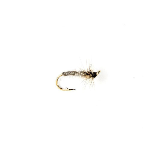 Grey Duster-Gamefish
