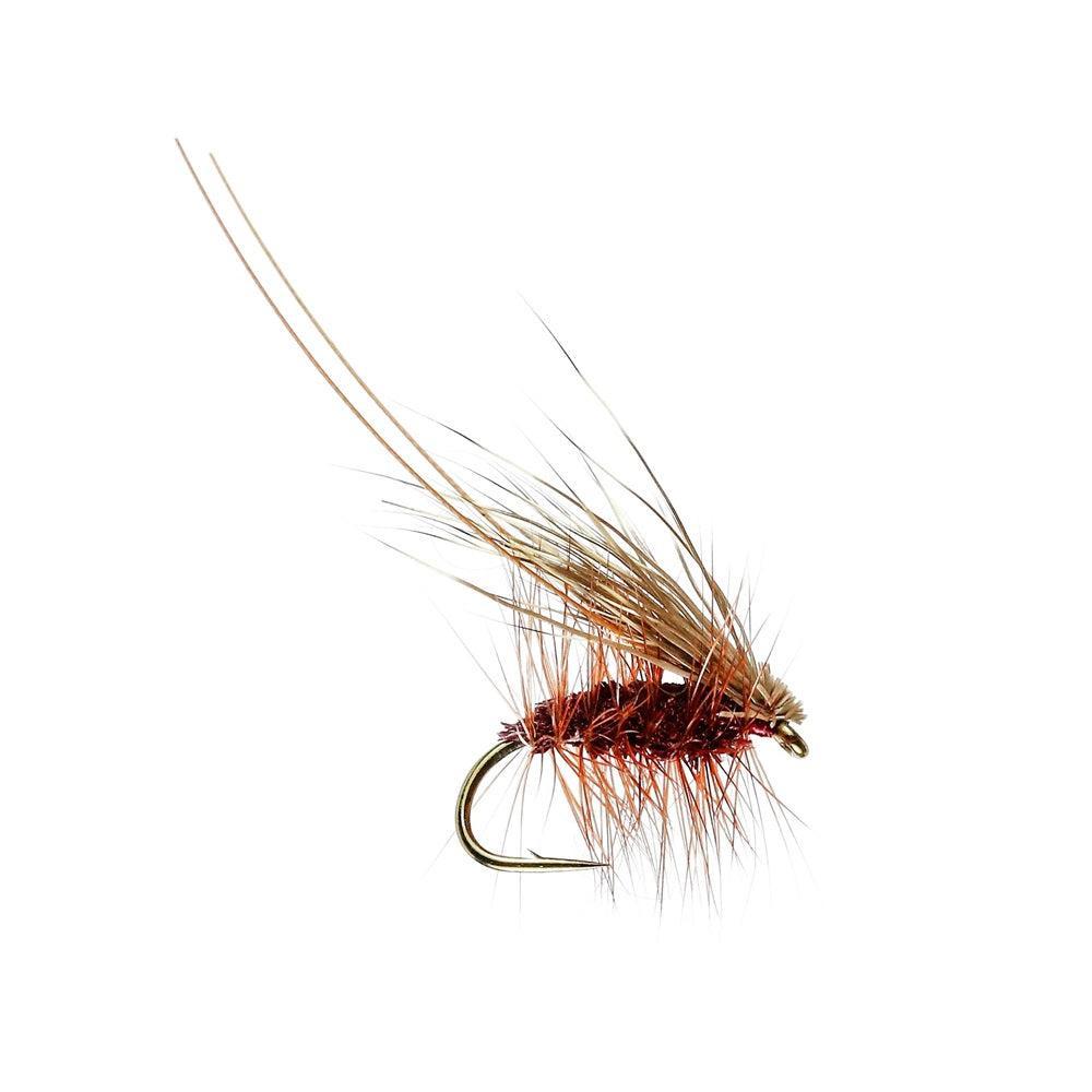 Irresistible Claret Murrough Sedge-Gamefish