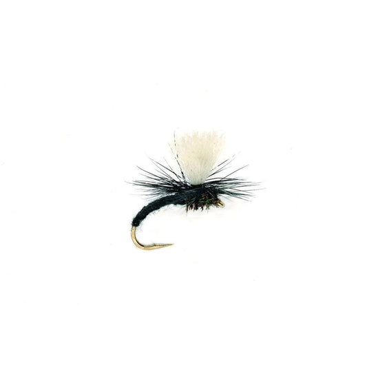 Klink Black-Gamefish