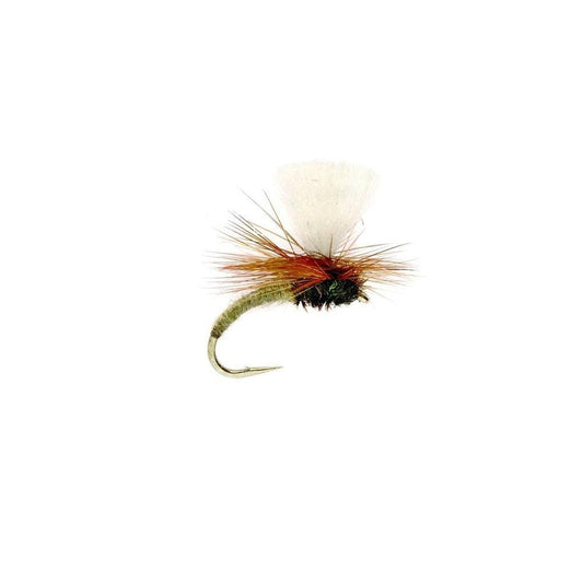 Klink Tan-Gamefish