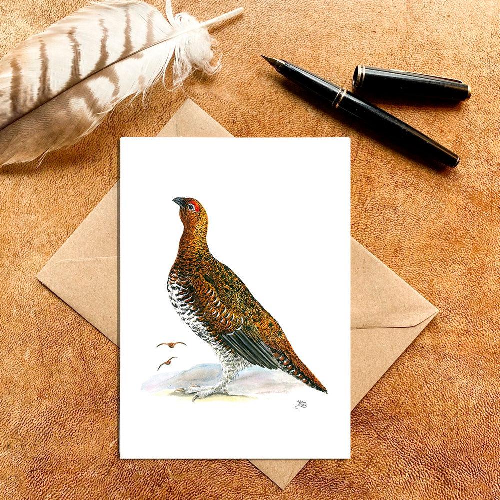 Male Red Grouse Card-Gamefish