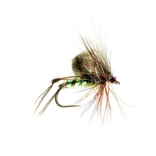 Olive Hopper CDC-Gamefish