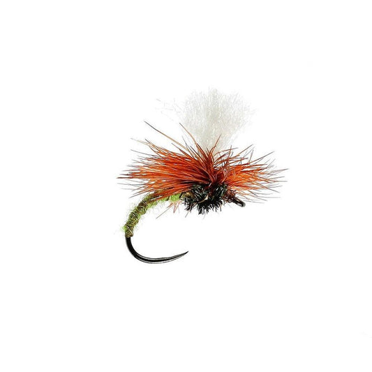 Olive Klink Dry B/L-Gamefish