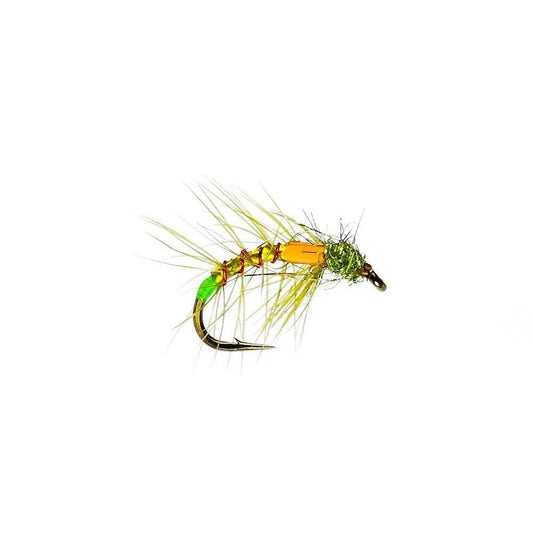 Olive Snatcher-Gamefish