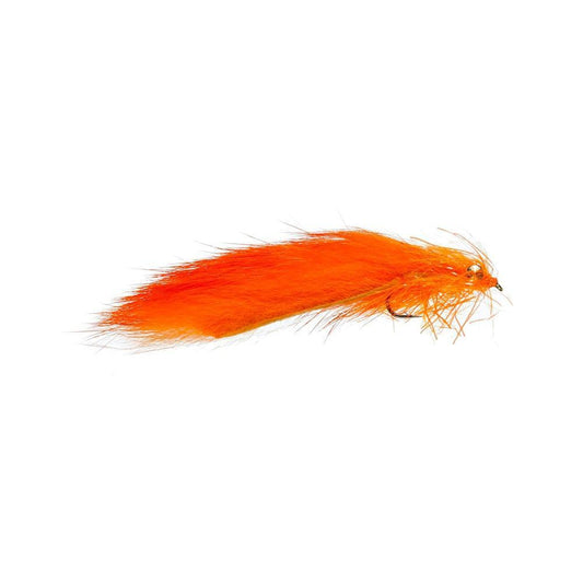 Orange Cat Leech-Gamefish
