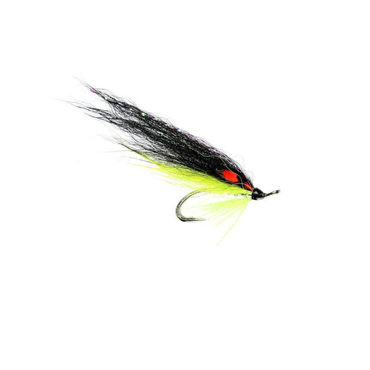 Posh Tosh Jc P Double-Gamefish
