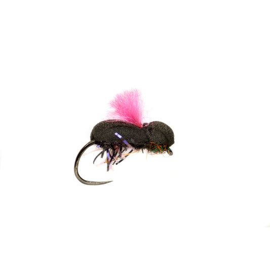 Procter's Target Beetle Barbless Pink